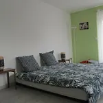 20m2 Avec Salle De Bain Privee Dans Maison En Bois Lavaur (Tarn)