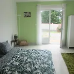 20m2 Avec Salle De Bain Privee Dans Maison En Bois